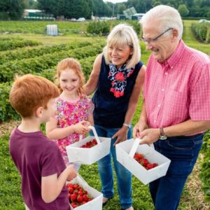 grandparents-professional2-1200x680