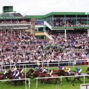 NEWCASTLE-RACECOURSE